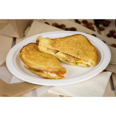 12"x10" Bagasse Oval Plate - PFAS Free
