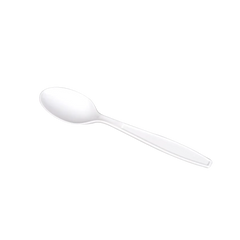 Extra Heavy Weight Plastic Spoons (1,000 ct)