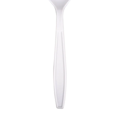 Extra Heavy Weight Plastic Spoons (1,000 ct)